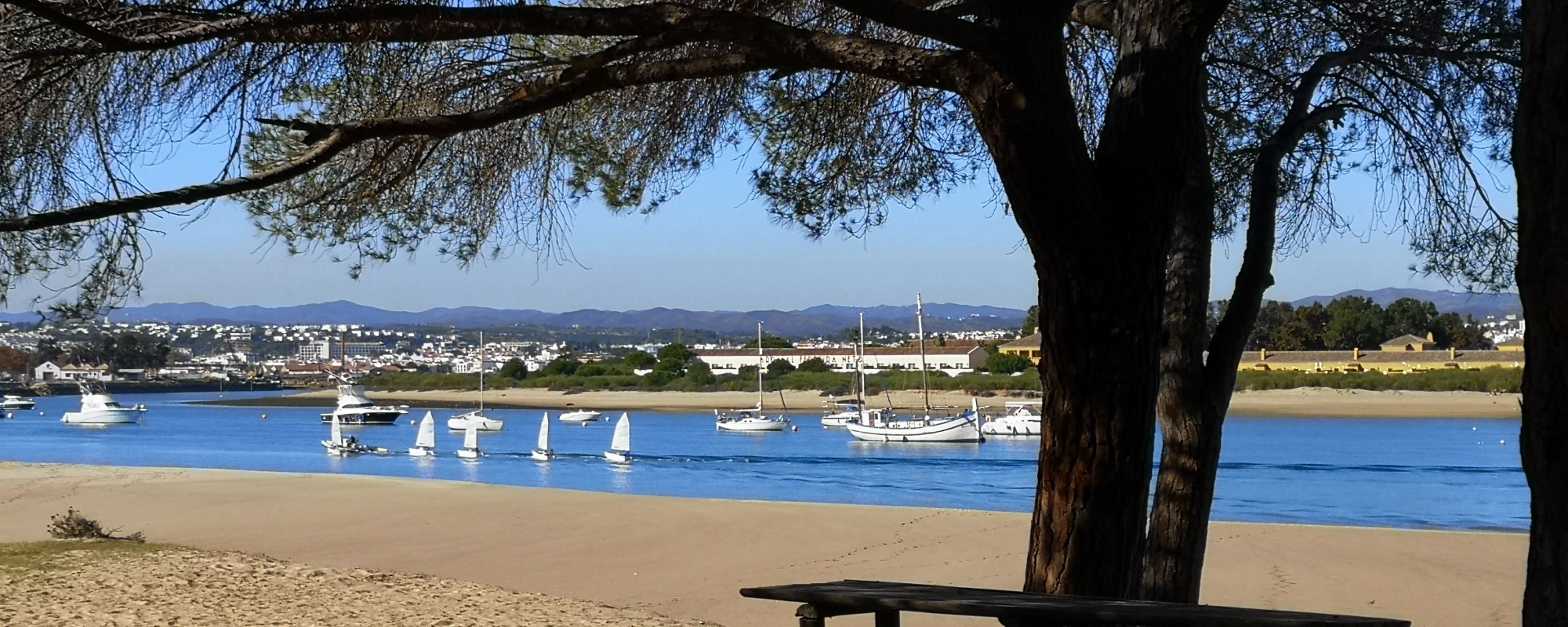 Tavira